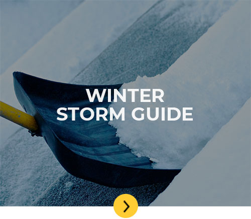 Winter Storm Guide