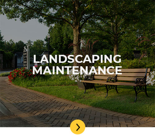 Landscaping Maintenance