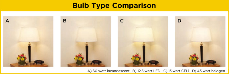 Bulb Type Comparison