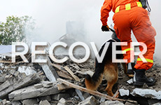 Earthquake Recover