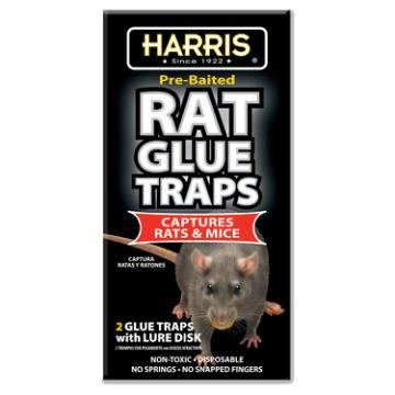 Harris Mouse Snap Trap (12-Pack)