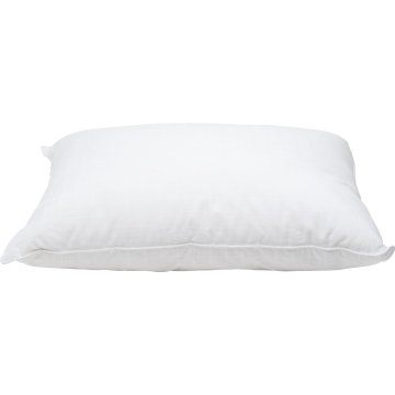 gosa aster pillow