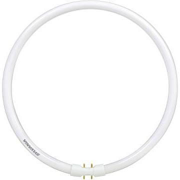 T5 22 watt circular bulb on sale